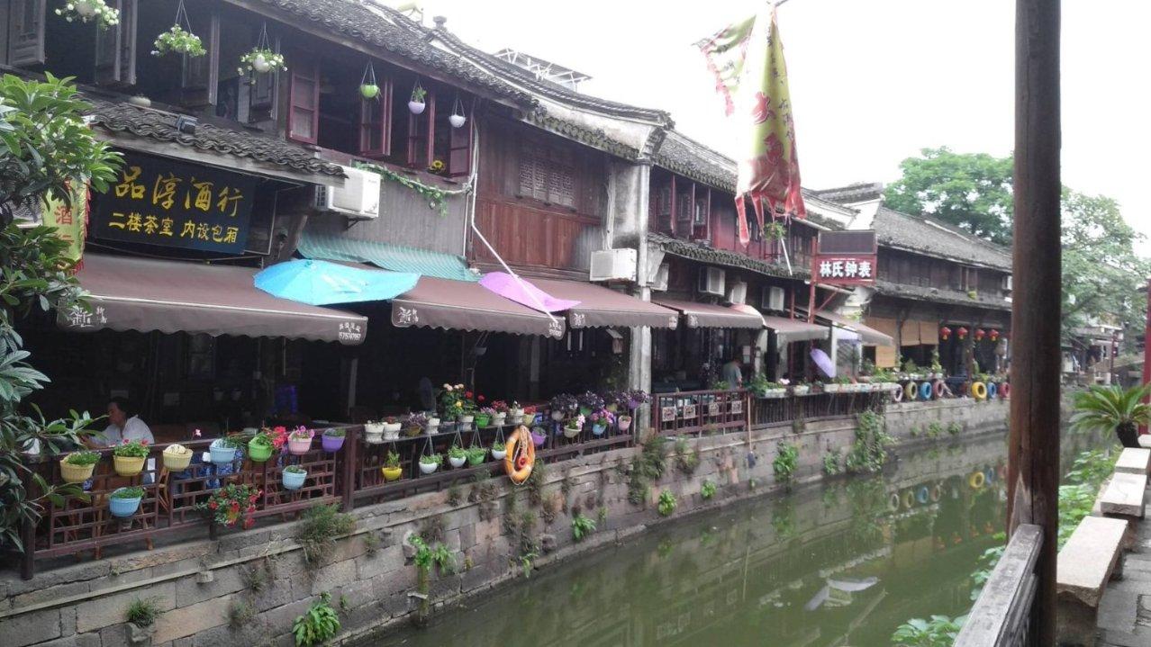 植物大战僵尸20